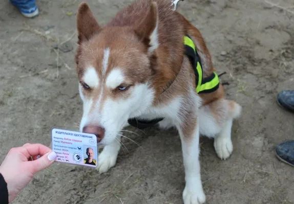 Мероприятие