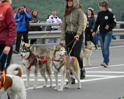 Фото с мероприятия