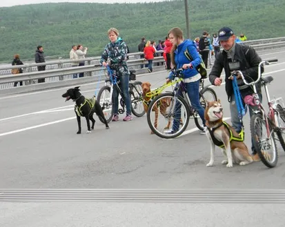 Фото с мероприятия