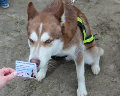 Фото с мероприятия